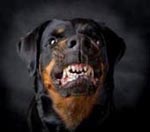 Avatar utente