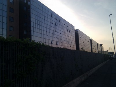 IMG_20111104_161157.jpg